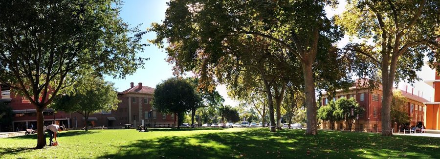 Barr Smith Lawns, Adelaide University