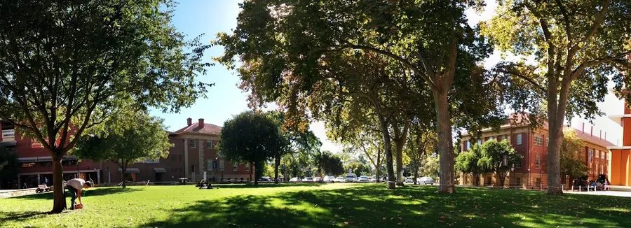 Barr Smith Lawns, Adelaide University